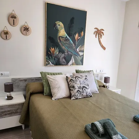 Atico Boutique Con Piscina Privada En El Solarium Y Diseno Natural Vera