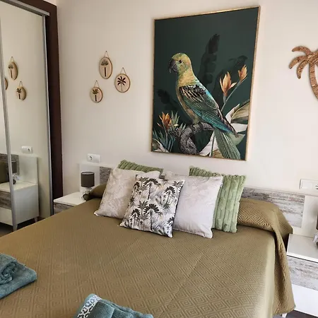 Atico Boutique Con Piscina Privada En El Solarium Y Diseno Natural