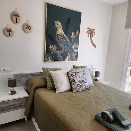Atico Boutique Con Piscina Privada En El Solarium Y Diseno Natural Vera